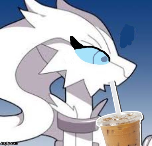 Verita the Reshiram with coffee | image tagged in verita the reshiram with coffee | made w/ Imgflip meme maker