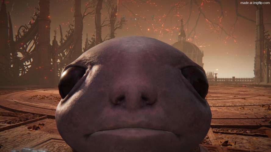 Aulbinaric Stare | image tagged in aulbinaric stare | made w/ Imgflip meme maker