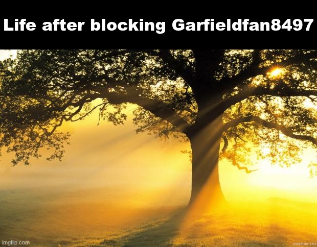 Life after blocking Garfieldfan8497 | Life after blocking Garfieldfan8497 | made w/ Imgflip meme maker