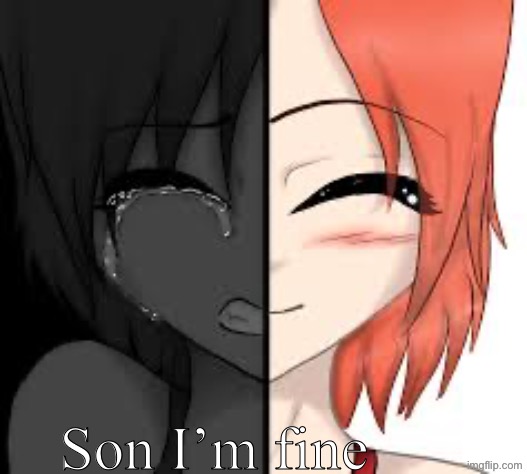 Son I’m cr? fine? | Son I’m fine | image tagged in img_0796 jpeg | made w/ Imgflip meme maker