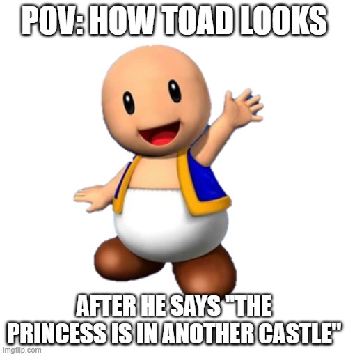 Cursed TOAD | pov: how toad looks; after he says "the princess is in another castle" | image tagged in cursed toad | made w/ Imgflip meme maker