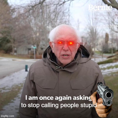 Bernie I Am Once Again Asking For Your Support Meme | to stop calling people stupid | image tagged in memes,bernie i am once again asking for your support | made w/ Imgflip meme maker
