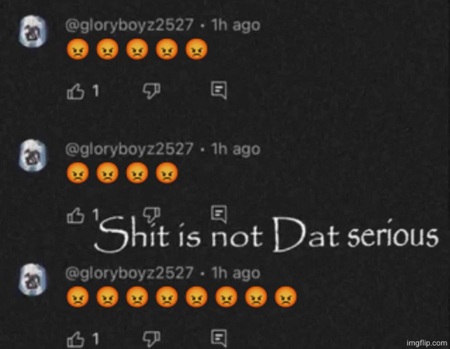 "oh no a bunch of strangers online i can easily just not interact with dislike me" | image tagged in shit is not dat serious | made w/ Imgflip meme maker