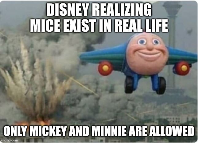 Flying Away From Chaos | Disney realizing mice exist in real life Only Mickey and Minnie are allowed | image tagged in flying away from chaos | made w/ Imgflip meme maker