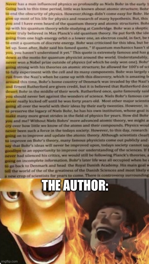 Read the highlighted areas | The author: | image tagged in evil woody | made w/ Imgflip meme maker