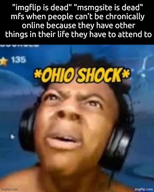 Ohio shock | "imgflip is dead" "msmgsite is dead" 
mfs when people can't be chronically 
online because they have other things in their life they have to attend to | image tagged in ohio shock | made w/ Imgflip meme maker