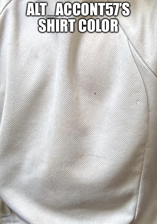 Rate my shirt | Alt_accont57’s shirt color | image tagged in alt_accont57,shirt reavel | made w/ Imgflip meme maker