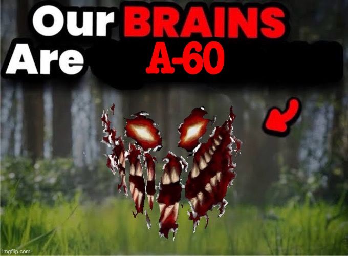 OUR BRAINS ARE A-60 | image tagged in our brains are a-60 | made w/ Imgflip meme maker