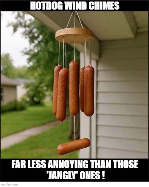 Who Will Invest In My New Idea ? | Hotdog Wind Chimes; Far less annoying than those
 'jangly' ones ! | image tagged in invest,opportunity,hot dog,wind chime | made w/ Imgflip meme maker