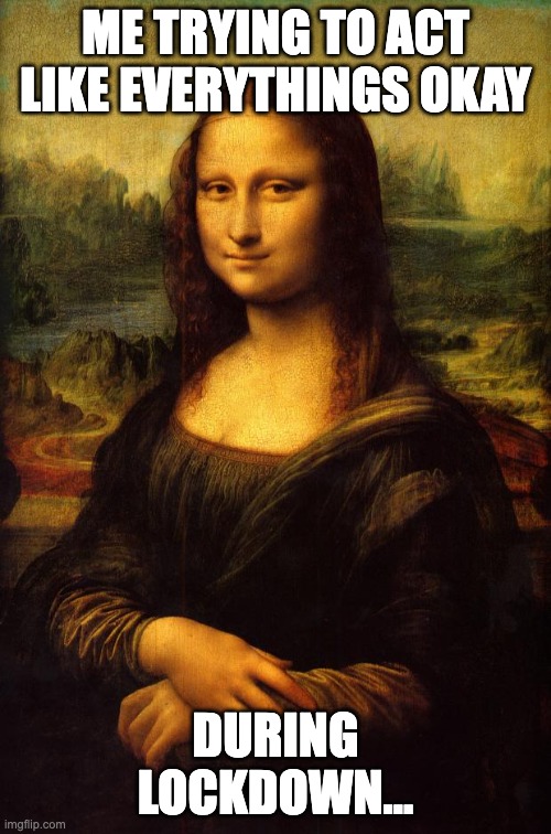 The Mona Lisa | Me trying to act like everythings okay; during lockdown... | image tagged in the mona lisa | made w/ Imgflip meme maker