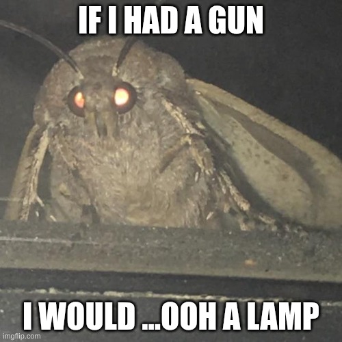 Moth lamp | if i had a gun; I would ...ooh a lamp | image tagged in moth lamp | made w/ Imgflip meme maker