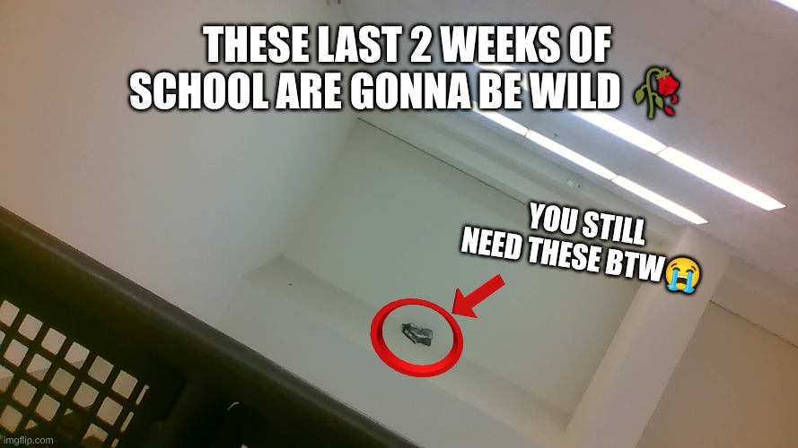 School aint over yet bro | These last 2 weeks of school are gonna be wild 🥀; You still need these btw😭 | image tagged in img_20260501_105933 jpg | made w/ Imgflip meme maker