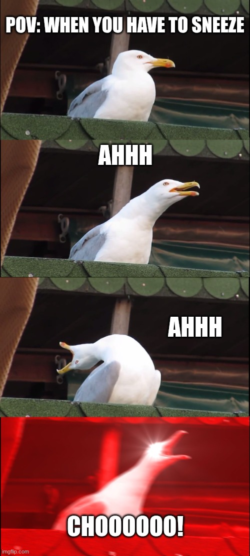 Achoo | POV: When you have to sneeze; Ahhh; Ahhh; Choooooo! | image tagged in memes,inhaling seagull | made w/ Imgflip meme maker