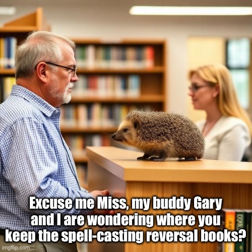 Library | Excuse me Miss, my buddy Gary and I are wondering where you keep the spell-casting reversal books? | image tagged in img_9417 jpeg,spell,library | made w/ Imgflip meme maker
