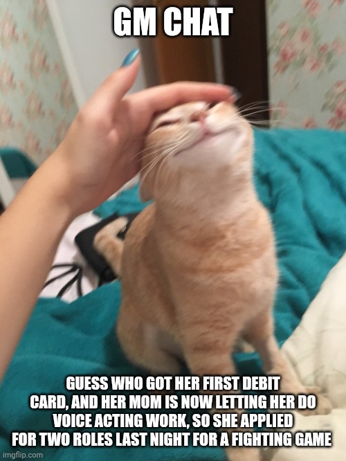 Hint: it's me | Gm chat; Guess who got her first debit card, and her mom is now letting her do voice acting work, so she applied for two roles last night for a fighting game | image tagged in cat pat | made w/ Imgflip meme maker