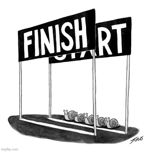 Snail Race | image tagged in comics | made w/ Imgflip meme maker