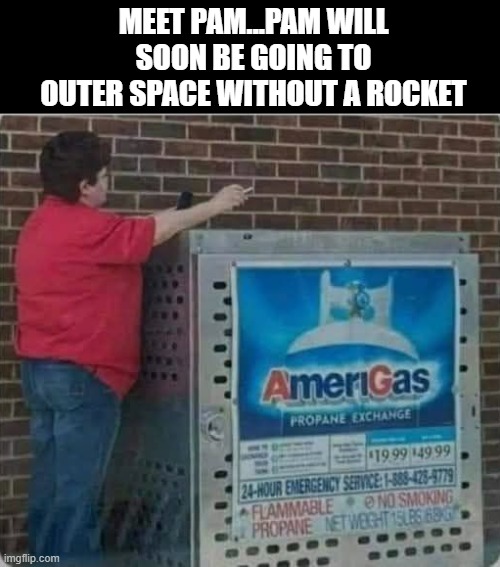 Bye Pam | Meet Pam...Pam will soon be going to outer space without a rocket | image tagged in dark humor | made w/ Imgflip meme maker