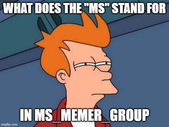 idk | what does the "MS" stand for; in MS_memer_group | image tagged in memes,futurama fry,question | made w/ Imgflip meme maker
