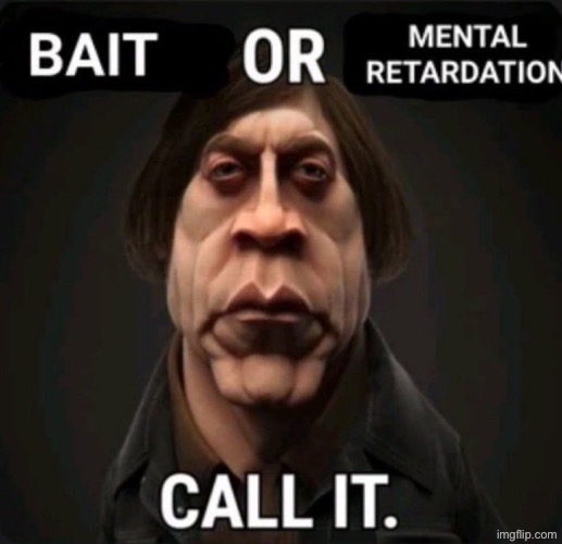 bait or mental retardation | image tagged in bait or mental retardation | made w/ Imgflip meme maker
