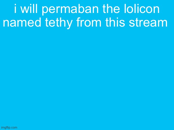 i will permaban the lolicon named tethy from this stream | made w/ Imgflip meme maker