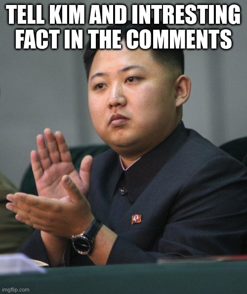 Kim Jong Un | Tell Kim and intresting fact in the comments | image tagged in kim jong un | made w/ Imgflip meme maker