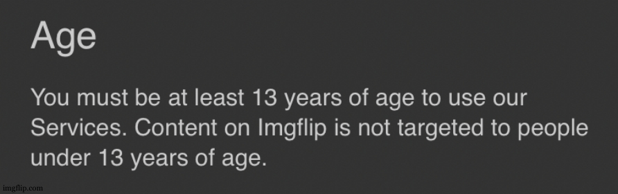 Imgflip terms of service age | image tagged in imgflip terms of service age | made w/ Imgflip meme maker