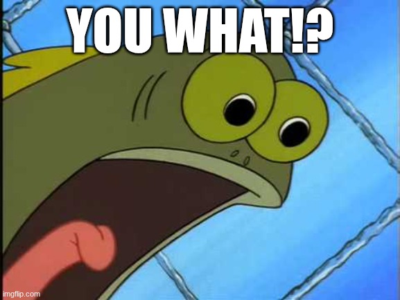 You what?! | you what!? | image tagged in you what | made w/ Imgflip meme maker