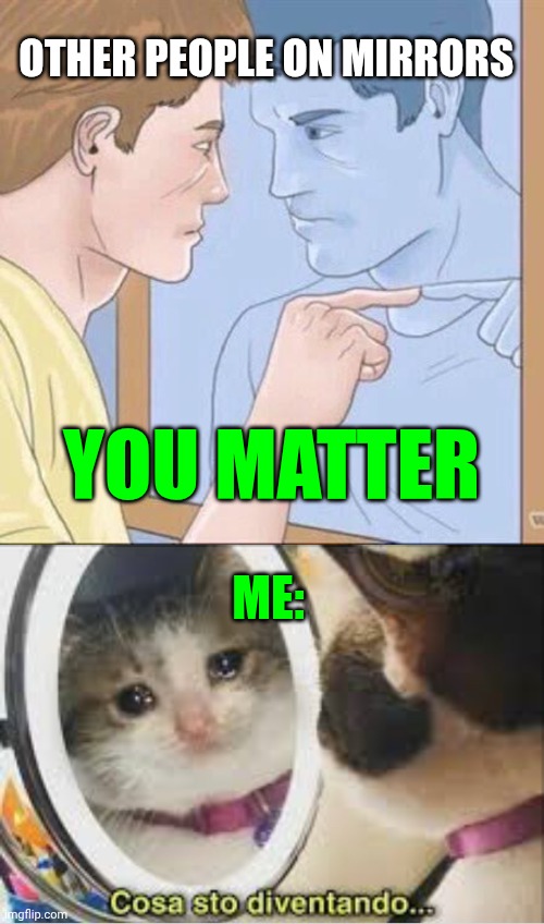 Other people on mirrors; You matter; Me: | image tagged in pointing mirror guy,mirror crying cat | made w/ Imgflip meme maker