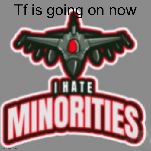 i hate minorities | Tf is going on now | image tagged in i hate minorities | made w/ Imgflip meme maker