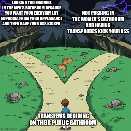 It sucks. I'm dysphoric and scared for my safety in the men's bathroom, but scared of transphobia in the women's bathroom | Looking too feminine in the men's bathroom because you want your everyday life euphoria from your appearance and then have your ass kicked; Not passing in the women's bathroom and having transphobes kick your ass; Transfems deciding on their public bathroom | image tagged in dramatic crossroads no good | made w/ Imgflip meme maker