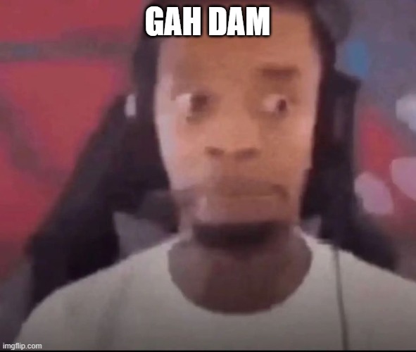 gah dam | image tagged in flight reacts scared | made w/ Imgflip meme maker