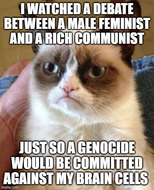 Low IQ | i watched a debate between a male feminist and a rich communist; just so a genocide would be committed against my brain cells | image tagged in memes,grumpy cat,shitpost | made w/ Imgflip meme maker
