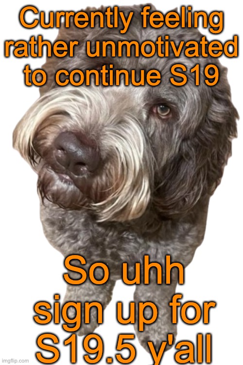Northers Dog (Transparent) | Currently feeling rather unmotivated to continue S19; So uhh sign up for S19.5 y'all | image tagged in northers dog transparent | made w/ Imgflip meme maker