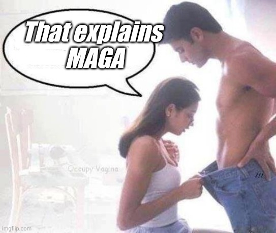 That explains MAGA | That explains 
MAGA | image tagged in ammosexual | made w/ Imgflip meme maker