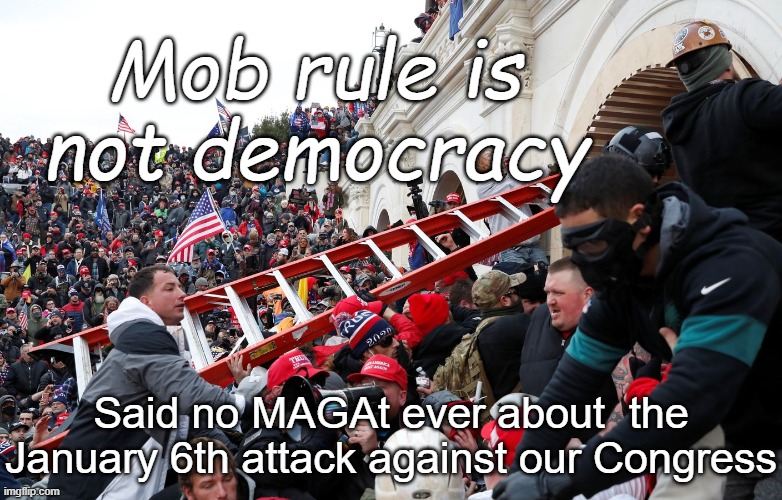 Qanon - Insurrection - Trump riot - sedition | Mob rule is not democracy Said no MAGAt ever about  the January 6th attack against our Congress | image tagged in qanon - insurrection - trump riot - sedition | made w/ Imgflip meme maker