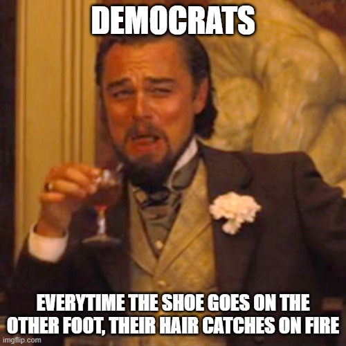 Laughing Leo Meme | Democrats; Everytime the shoe goes on the other foot, their hair catches on fire | image tagged in memes,laughing leo | made w/ Imgflip meme maker