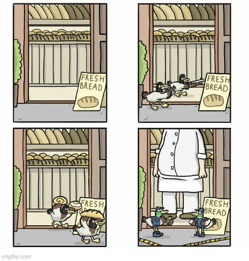 Bread robbery | image tagged in bread,birds,bird,robbery,comics,comics/cartoons | made w/ Imgflip meme maker