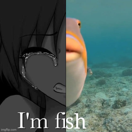 I'm fi | sh | image tagged in i'm fi,sh,fish,anime | made w/ Imgflip meme maker