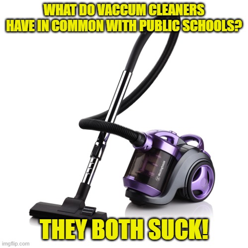 I hope you like this riddle | WHAT DO VACCUM CLEANERS
HAVE IN COMMON WITH PUBLIC SCHOOLS? THEY BOTH SUCK! | image tagged in vacum jpg,vacuum cleaner,school,public,private,homeschool | made w/ Imgflip meme maker
