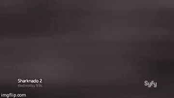 Tumblr During a Sharknado | image tagged in gifs,gifs sharknado tumblr | made w/ Imgflip video-to-gif maker