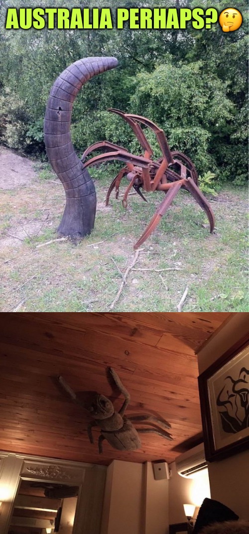 Australia Perhaps? | Australia perhaps?🤔 | image tagged in cursed images,australia,meanwhile in australia,spiders,worms,funny memes | made w/ Imgflip meme maker