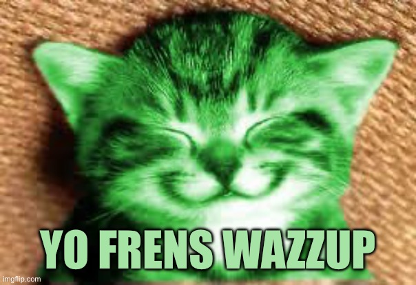 happy RayCat | Yo frens wazzup | image tagged in happy raycat | made w/ Imgflip meme maker
