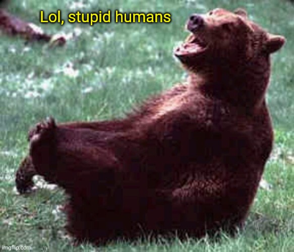 Bear laughing | Lol, stupid humans | image tagged in bear laughing | made w/ Imgflip meme maker