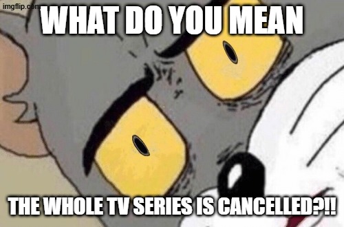 Me when I heard a TV Series got cancelled | What do you mean; the whole tv series is cancelled?!! | image tagged in unsettled tom,television series,memes | made w/ Imgflip meme maker
