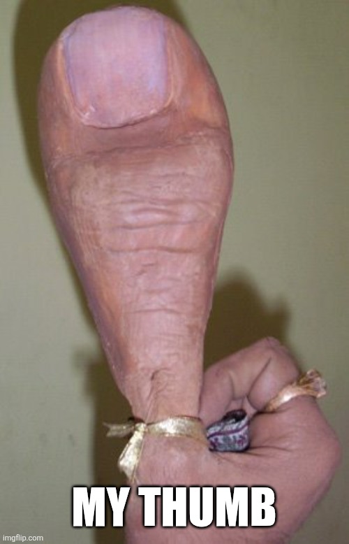 Big Thumb | My thumb | image tagged in big thumb | made w/ Imgflip meme maker