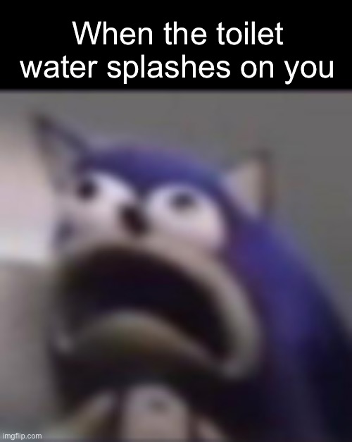 Toilet | When the toilet water splashes on you | image tagged in distress,memes,fun | made w/ Imgflip meme maker