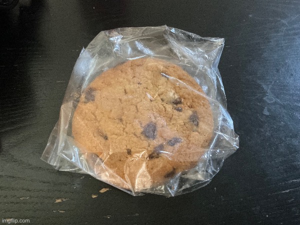 Lowk baked this cookie today (gonna start selling at school) lemme know what you think | image tagged in memes,lgbtq | made w/ Imgflip meme maker