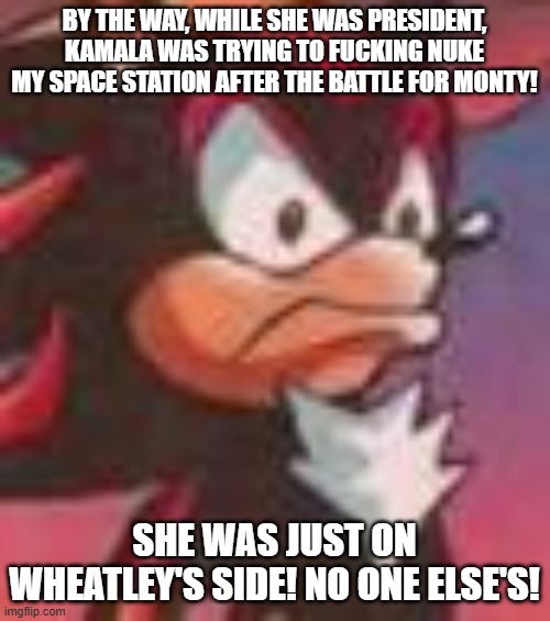 Shadow the Hedgehog | by the way, while she was president, Kamala was trying to fucking nuke my space station after the battle for monty! she was just on wheatley | image tagged in shadow the hedgehog | made w/ Imgflip meme maker