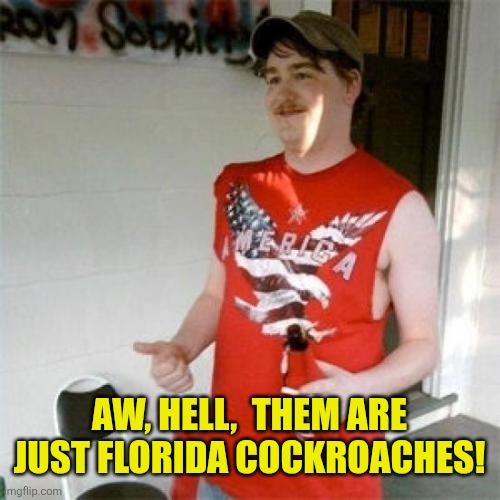 Redneck Randal Meme | Aw, hell,  them are just Florida cockroaches! | image tagged in memes,redneck randal | made w/ Imgflip meme maker