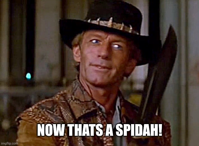 Crocodile Dundee Knife | Now thats a spidah! | image tagged in crocodile dundee knife | made w/ Imgflip meme maker